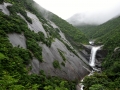 Yakushima13_tn