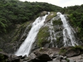 Yakushima7_tn